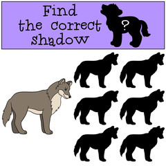Educational game: Find the correct shadow. Cute beautiful wolf s