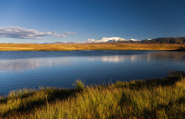 Highland steppe shore of a deep blue lake with yellow grass on the background of white snowcapped high ice snow mountain peaks with glaciers under clear blue sky Plateau Ukok Altai Siberia Russia