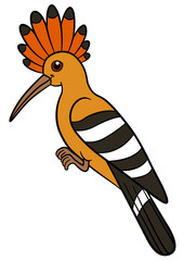 Cartoon birds. Cute beautiful hoopoe smiles.