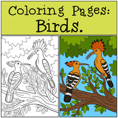 Coloring Pages: Birds. Two cute beautiful hoopoes smile.