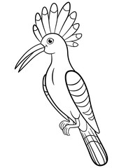 Coloring pages. Cute beautiful hoopoe sits.