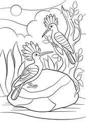 Coloring pages. Two cute beautiful hoopoes smile.