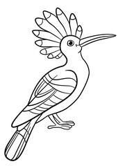 Fototapeta premium Coloring pages. Cute beautiful hoopoe sits.