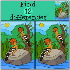 Educational game: Find differences. Two cute beautiful hoopoes. © ya_mayka