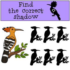 Educational game: Find the correct shadow. Cute beautiful hoopoe
