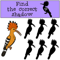 Educational game: Find the correct shadow. Cute beautiful hoopoe