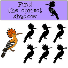 Educational game: Find the correct shadow. Cute beautiful hoopoe © ya_mayka