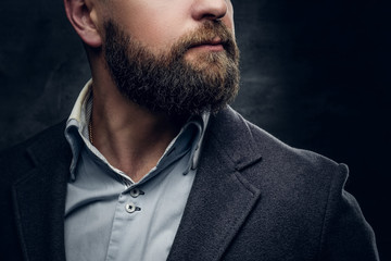 Fototapeta premium Man's beard and woolen suit on grey background.