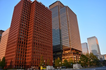 mountain,skyscraper,tree,views,garden,flowers,buddha.