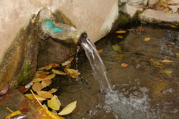 La fuene