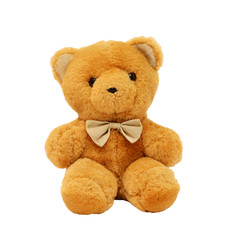 Bear with bow isolated on white background
