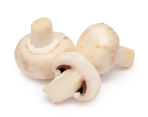 Champignon mushroom isolated on white background