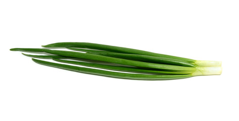 Obraz na płótnie Canvas Green onion isolated on white background
