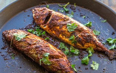 Grilled Indian Mackerel Fish Close Up Image.