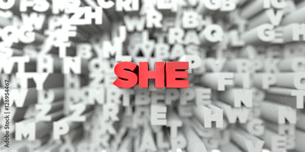 Fototapete she - red text on typography background - 3d rendered royalty free stock image. this image can be us