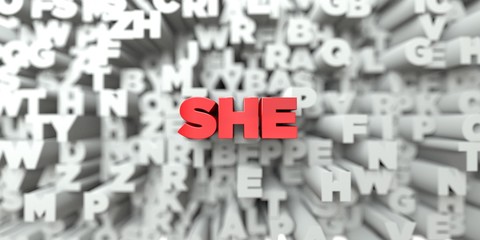 SHE -  Red text on typography background - 3D rendered royalty free stock image. This image can be used for an online website banner ad or a print postcard.