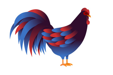 Illustration rooster. Cock symbol 2017 by the Chinese calendar. 