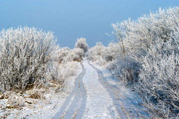 Droga nad Biebrzą © podlaski49
