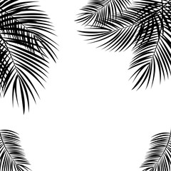 Obraz premium Czarny Palmowy liść na Białym tle. Ilustracja wektorowa.
