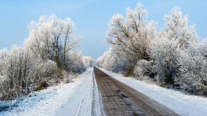 Carska Droga nad Biebrzą © podlaski49