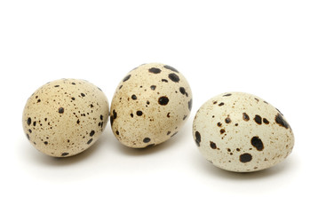 Quail egg