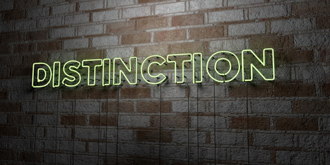 DISTINCTION - Glowing Neon Sign on stonework wall - 3D rendered royalty free stock illustration.  Can be used for online banner ads and direct mailers..