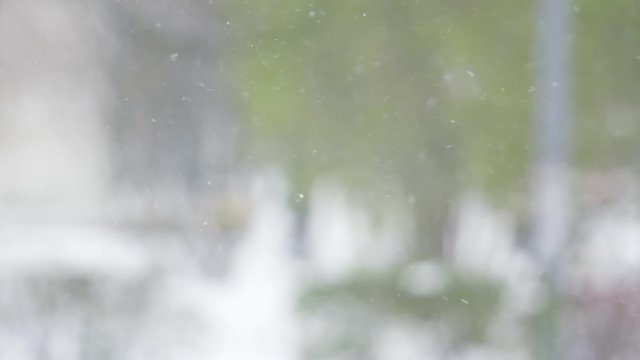 snow falling in slow motion with blurred trees on background, 180fps prores footage
