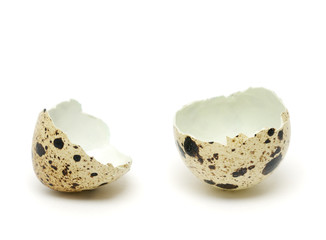 Quail eggshell isolated on white background