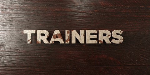 Naklejka premium Trainers - grungy wooden headline on Maple - 3D rendered royalty free stock image. This image can be used for an online website banner ad or a print postcard.