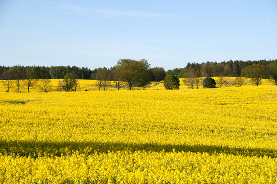 「Prowincja」の画像 622 件の Stock 写真、ベクターおよびビデオ Adobe Stock