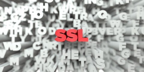 SSL -  Red text on typography background - 3D rendered royalty free stock image. This image can be used for an online website banner ad or a print postcard.