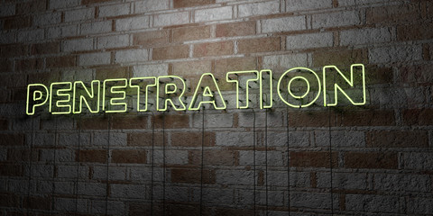PENETRATION - Glowing Neon Sign on stonework wall - 3D rendered royalty free stock illustration.  Can be used for online banner ads and direct mailers..