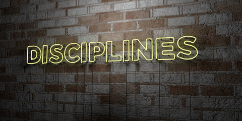 DISCIPLINES - Glowing Neon Sign on stonework wall - 3D rendered royalty free stock illustration.  Can be used for online banner ads and direct mailers..