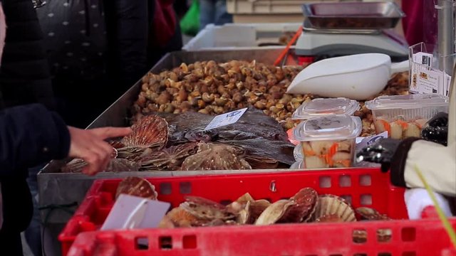 Fresh seafood assortment at the market. Selective focus. Real time video.
