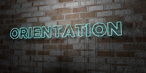 Fototapeta na wymiar ORIENTATION - Glowing Neon Sign on stonework wall - 3D rendered royalty free stock illustration. Can be used for online banner ads and direct mailers..