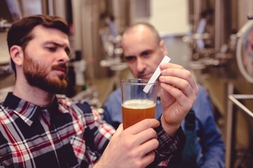 Owner inspecting beer in glass mug