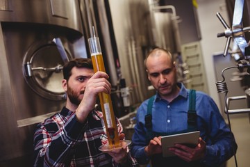 Owner inspecting beer in tube at brewery