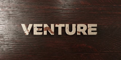 Venture - grungy wooden headline on Maple  - 3D rendered royalty free stock image. This image can be used for an online website banner ad or a print postcard.