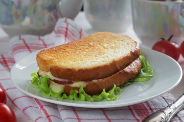 Cheese sandwich with lettuce