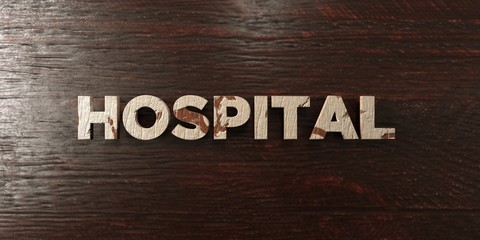 Hospital - grungy wooden headline on Maple  - 3D rendered royalty free stock image. This image can be used for an online website banner ad or a print postcard.