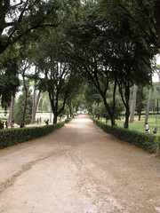 Walking route of the Villa Borghese Gardens Park . Rome, Italy