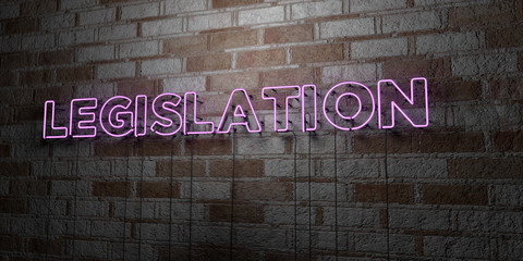 LEGISLATION - Glowing Neon Sign on stonework wall - 3D rendered royalty free stock illustration.  Can be used for online banner ads and direct mailers..