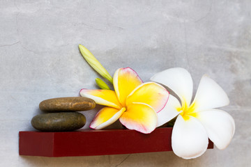 white and yellow plumeria flowers on red shelf