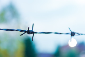 barbed wire