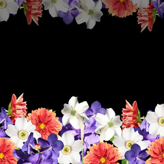 Beautiful floral background of daffodils, dahlias and orchids Vanda 