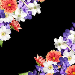 Beautiful floral background of daffodils, dahlias and orchids Vanda 