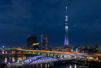 Fototapeta na wymiar Tokyo skytree tower
