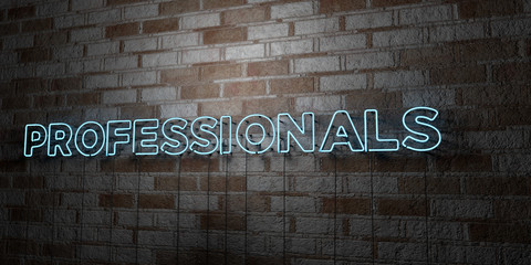 PROFESSIONALS - Glowing Neon Sign on stonework wall - 3D rendered royalty free stock illustration.  Can be used for online banner ads and direct mailers..