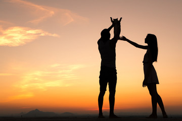 Fototapeta premium Silhouette of Happy Young Couple playing with cat Outside at Sunset