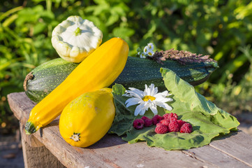 fruits and vegetables on a wooden table harvested from the garde